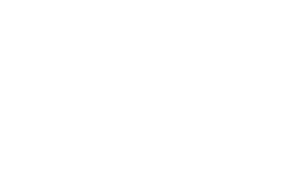 Fezy Store